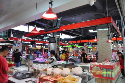 打造放心智慧“菜籃子” 新塘農(nóng)貿(mào)市場入選全國生鮮零售示范市場